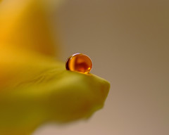 琥珀の想い・雫（Ⅳ）