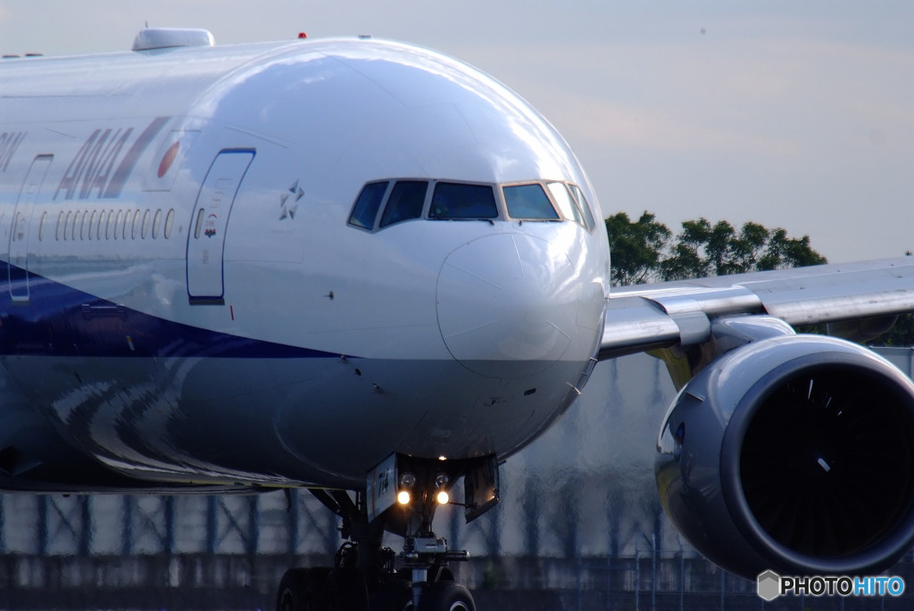 秋旅Ⅸ・飛行機に乗って
