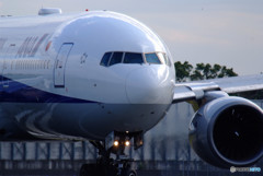 秋旅Ⅸ・飛行機に乗って