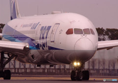 春色の誘惑・787