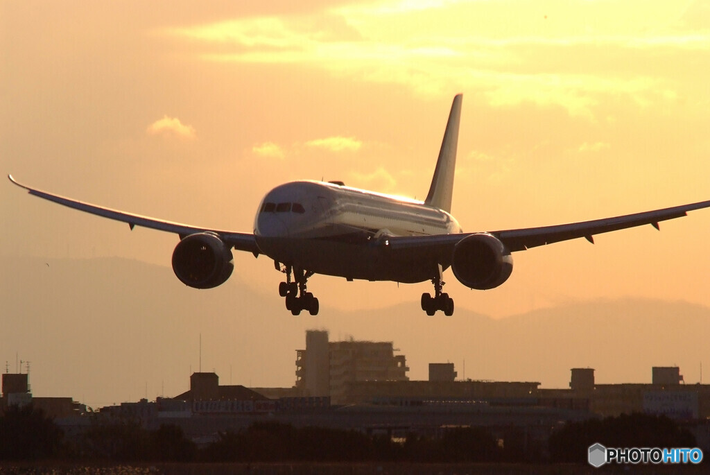 復活を信じて★Morning Star