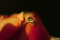 鎮魂の瞳✿あの日を忘れない