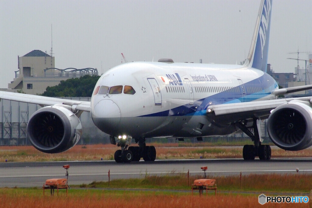 HARADAの朝✈Boeing 787-8 Dreamliner