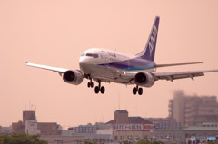 夢の世界へⅢ・Dolphin