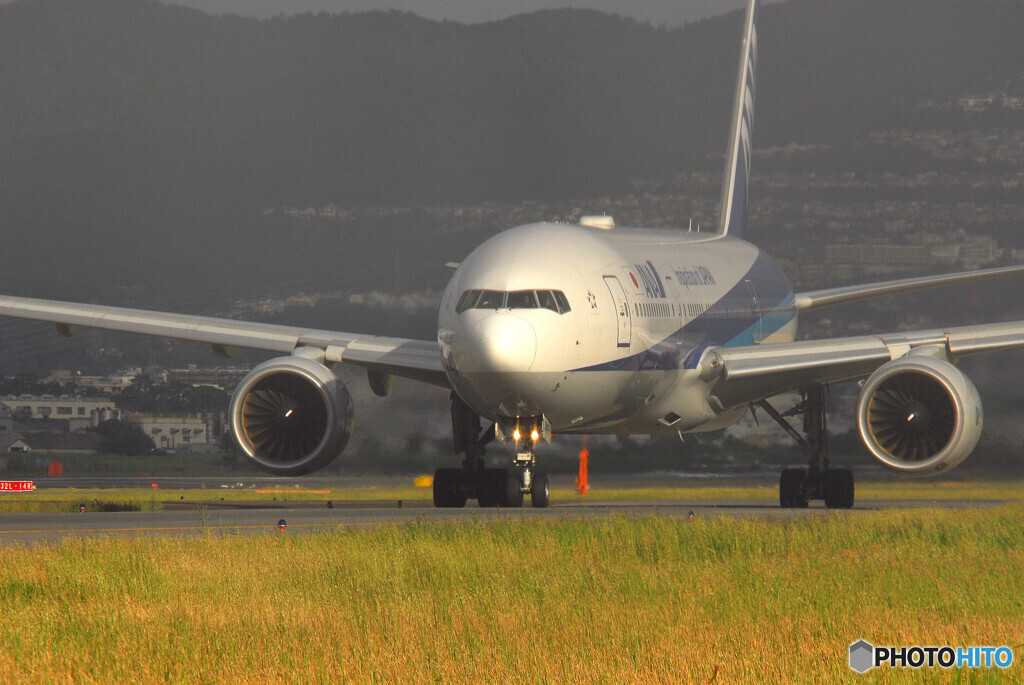 Morning Light✈777