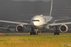 Morning Light✈777