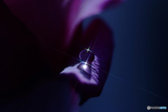 恋する十字架・雫