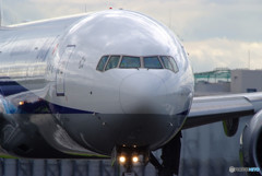 No End Summer・ 2017