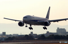 Nice MorningⅤ☆ANA Boeing777-200