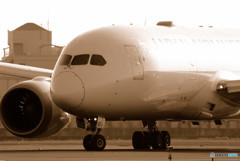 スター誕生! 787