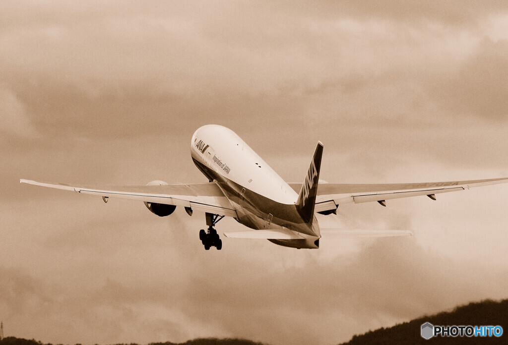 未来への翼・絆