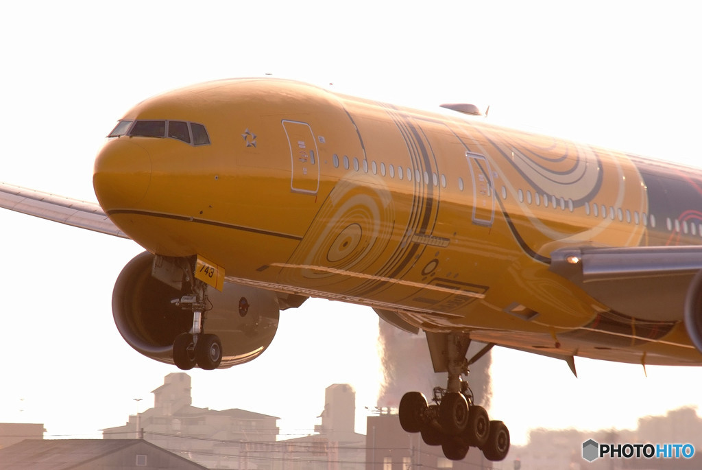 Morning Fight・C3PO