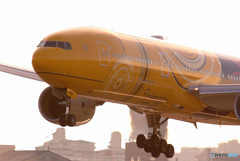 Morning Fight・C3PO