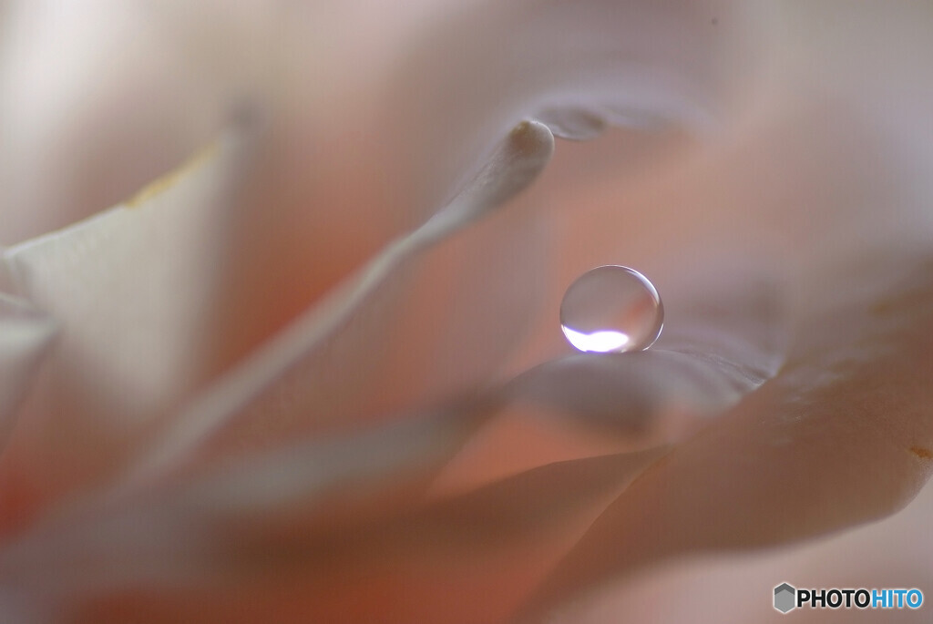 月見月の瞳✿雫