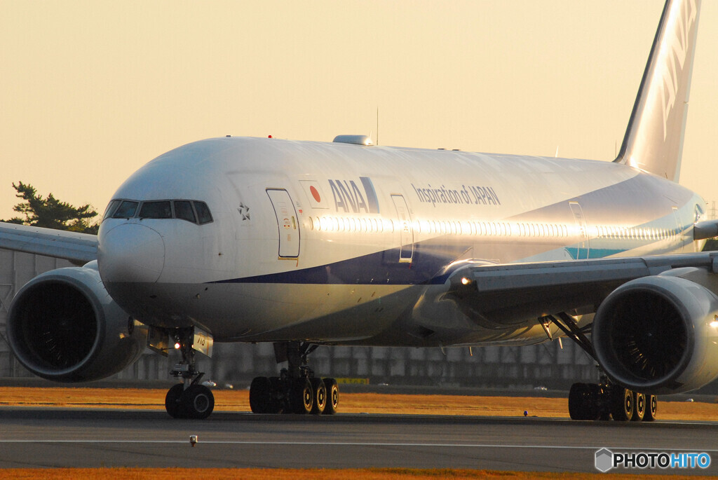 Gold Line✈Boeing777-200