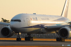 Gold Line✈Boeing777-200