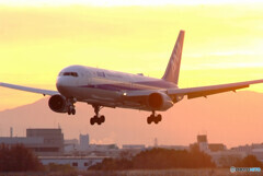 Another Sky★Boeing 767