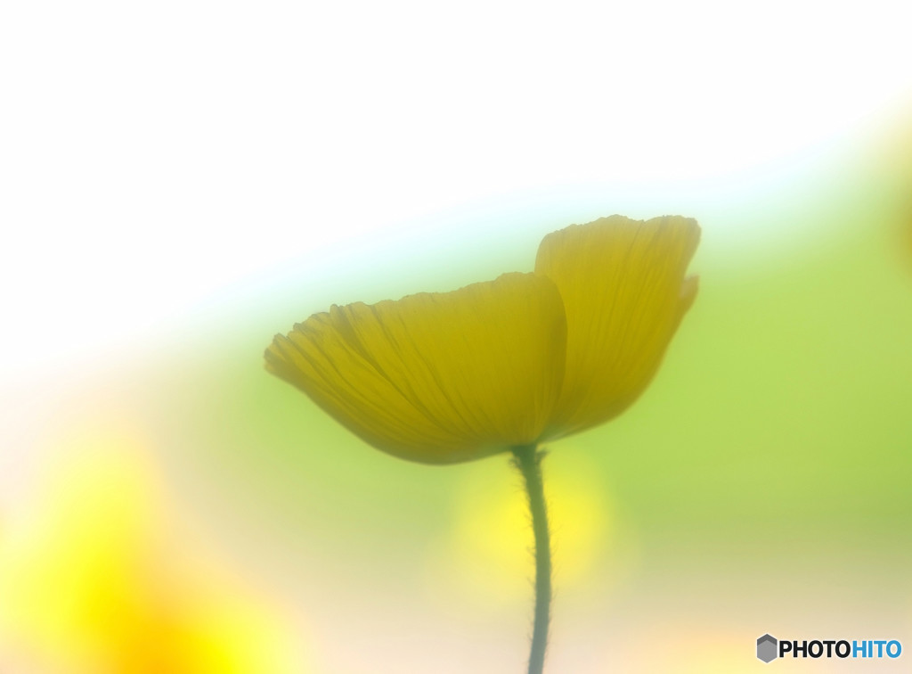 時をかける華・序章