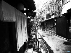 雨の柳小路通り☂都