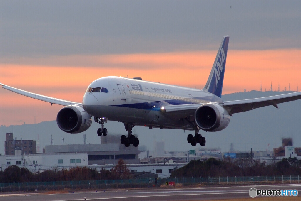 Golden Time✈ANA 787-8