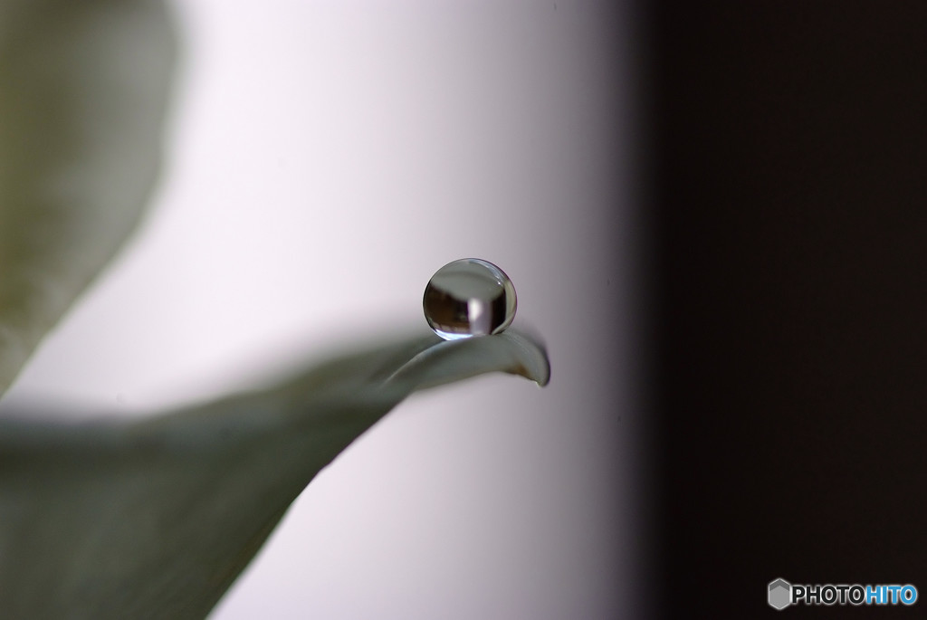 ー白と黒ー・雫