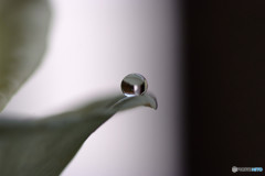 ー白と黒ー・雫