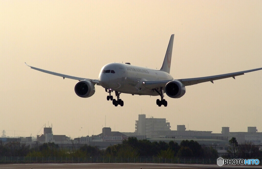 Last March✈JAL Boeing787-8
