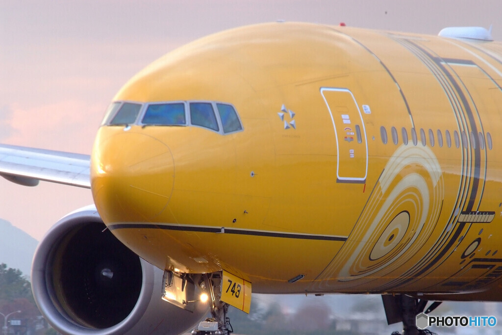 Good Afternoon✈C3PO