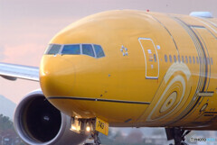 Good Afternoon✈C3PO