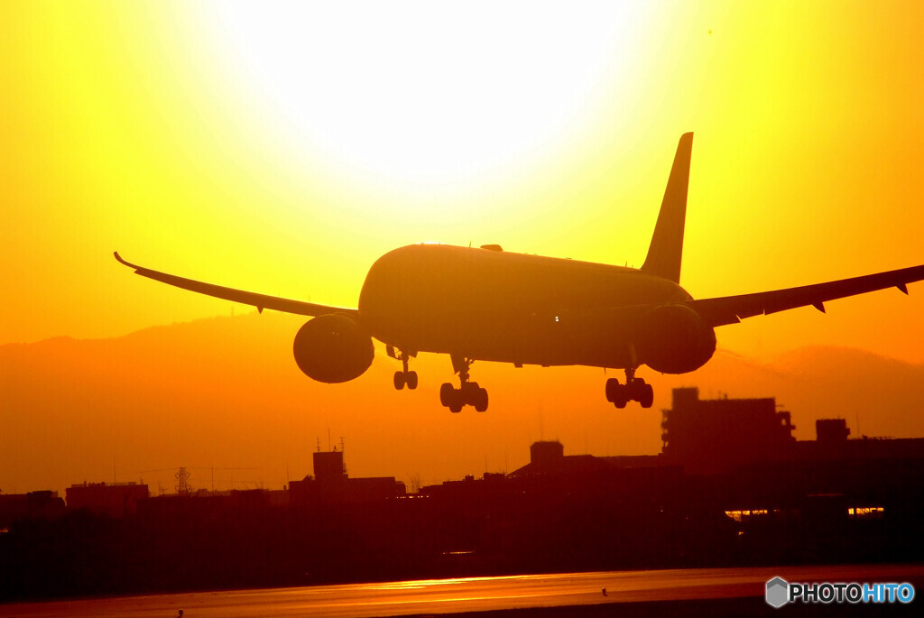 睦月の輝き✈Boeing787-9