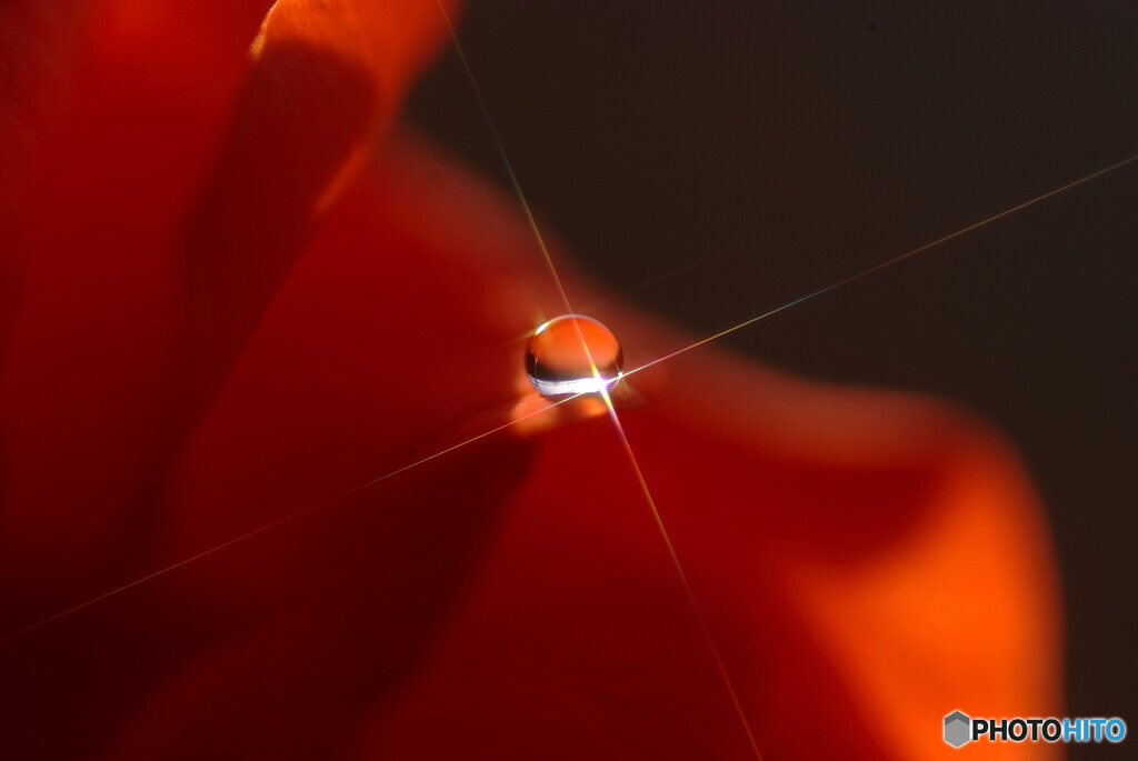 赤い閃光❁皐月の瞳