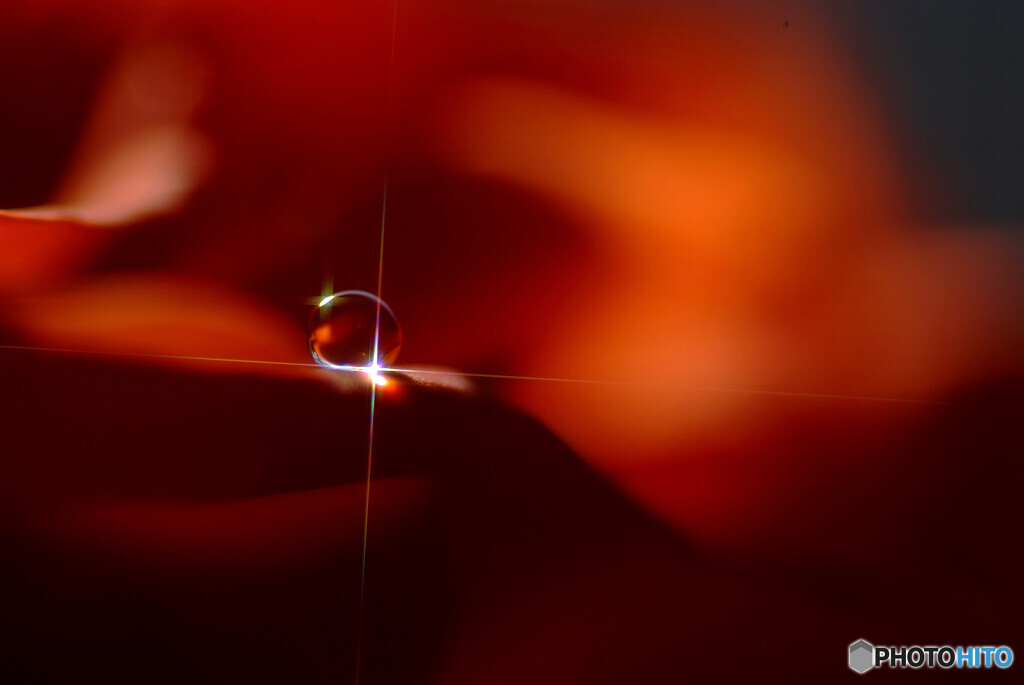 光りの琴線✾皐月