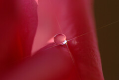 My Life➐✿春の予感