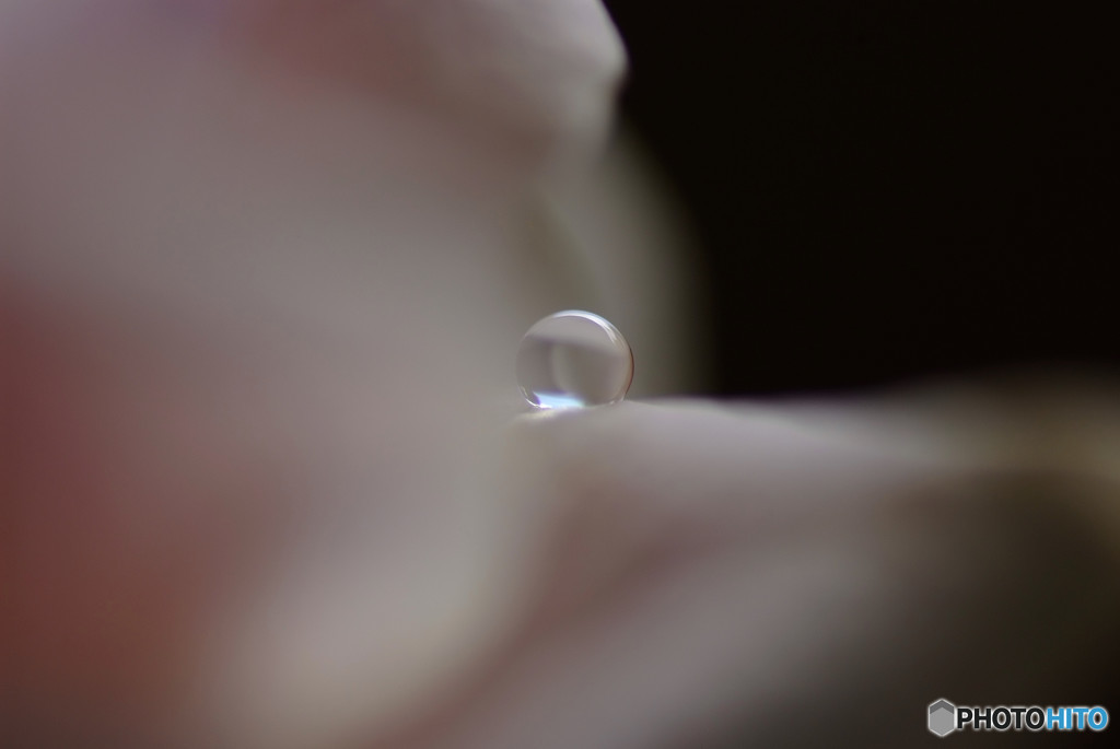 恋する惑星Ⅱ・秋