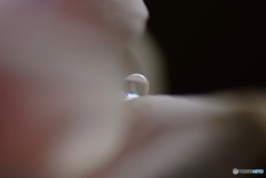 恋する惑星Ⅱ・秋