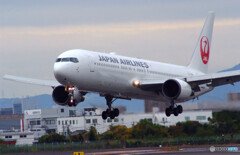 11月の翼✈Boeing767-300