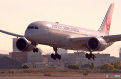 俺の翼・JAL787