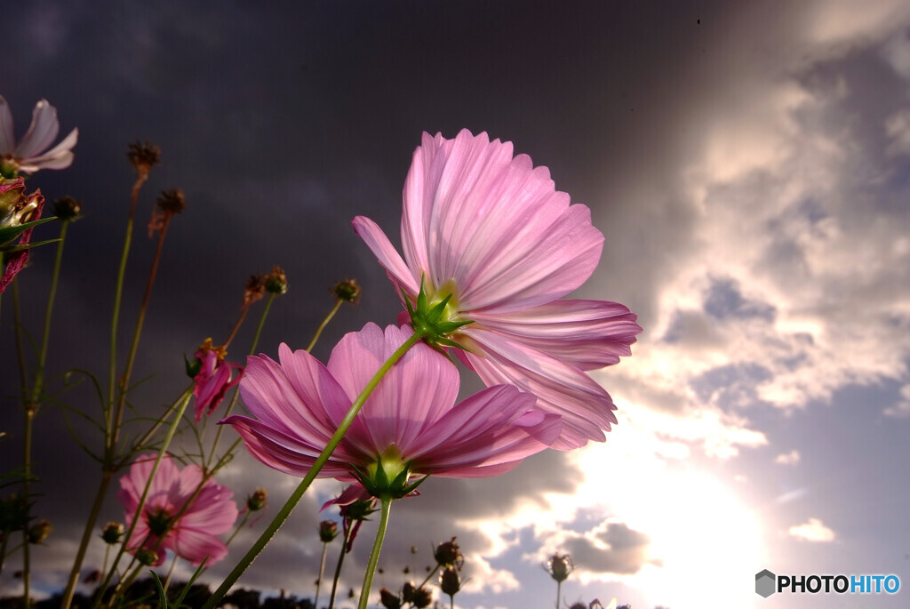 LOVE AFFAIR 〜秘密のデート