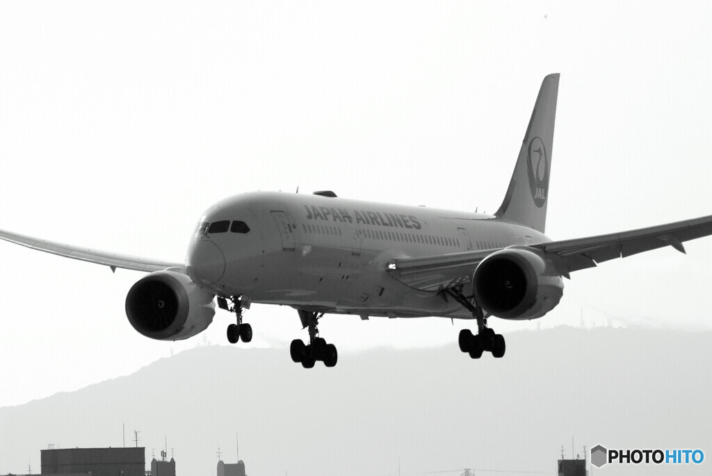 B/Wの世界へ✈ITMの空