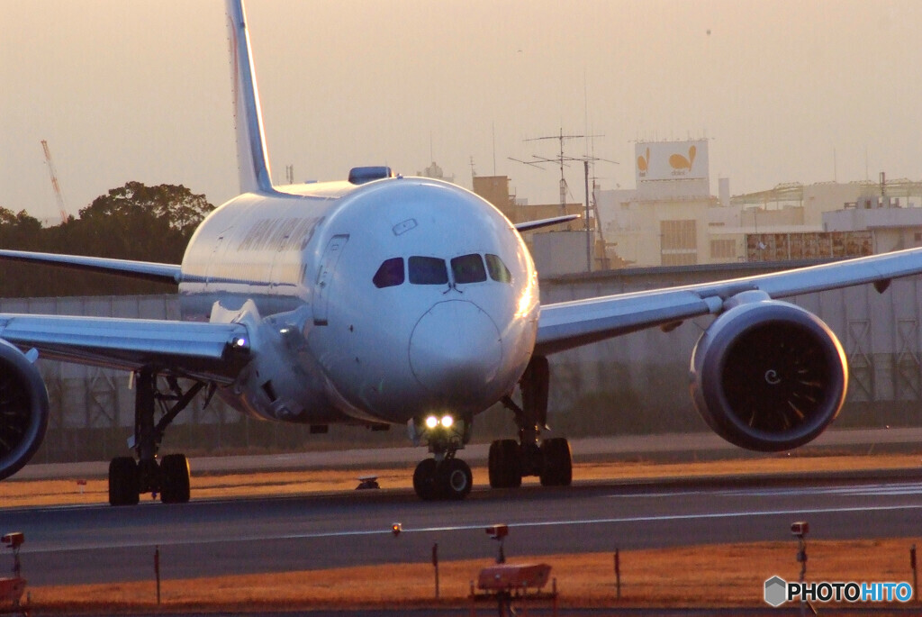 SKYLANDの朝✈Boeing787-8