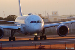 SKYLANDの朝✈Boeing787-8