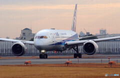 会いにいこう✈Boeing787-8