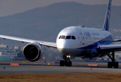 勇者の如く・787