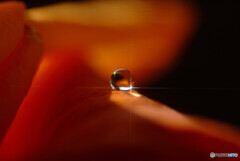 Light CrossⅡ★時