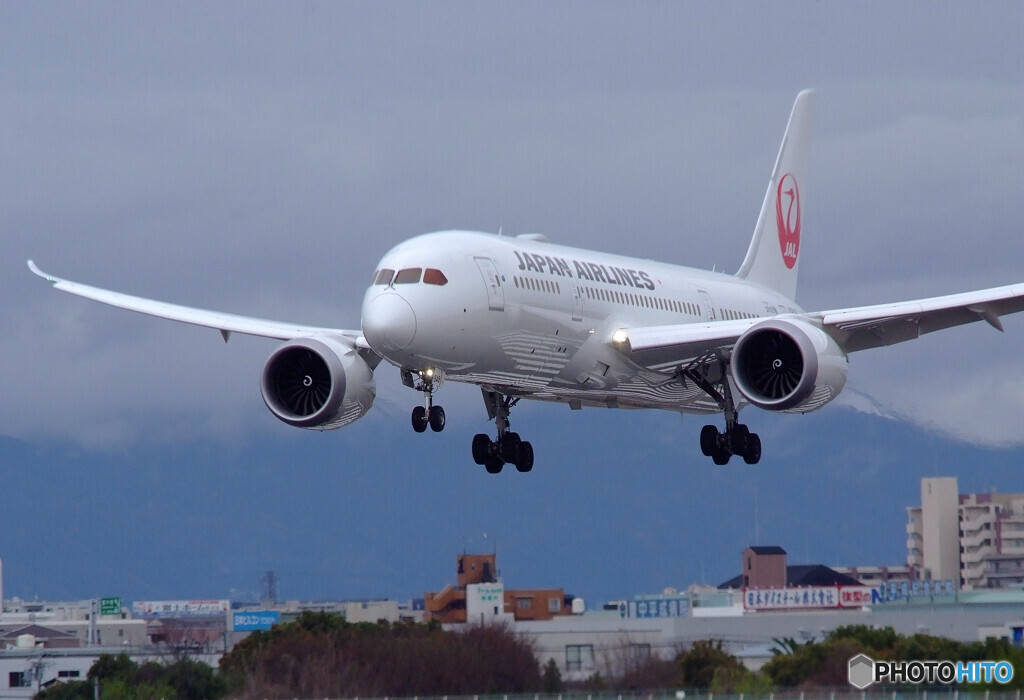 大空散歩✈787-8