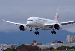 大空散歩✈787-8