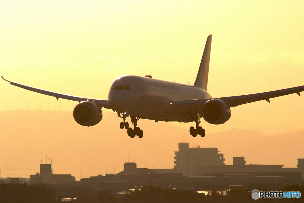 Happy holidays✈787