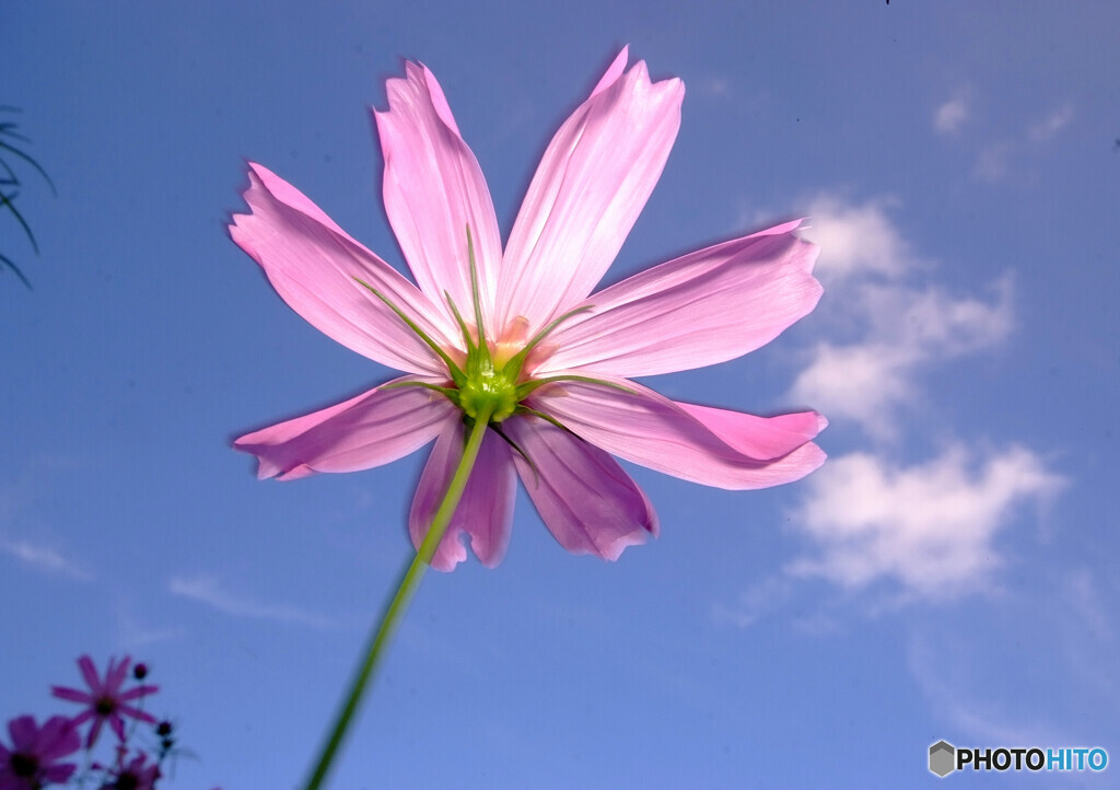 秋の扉・October 
