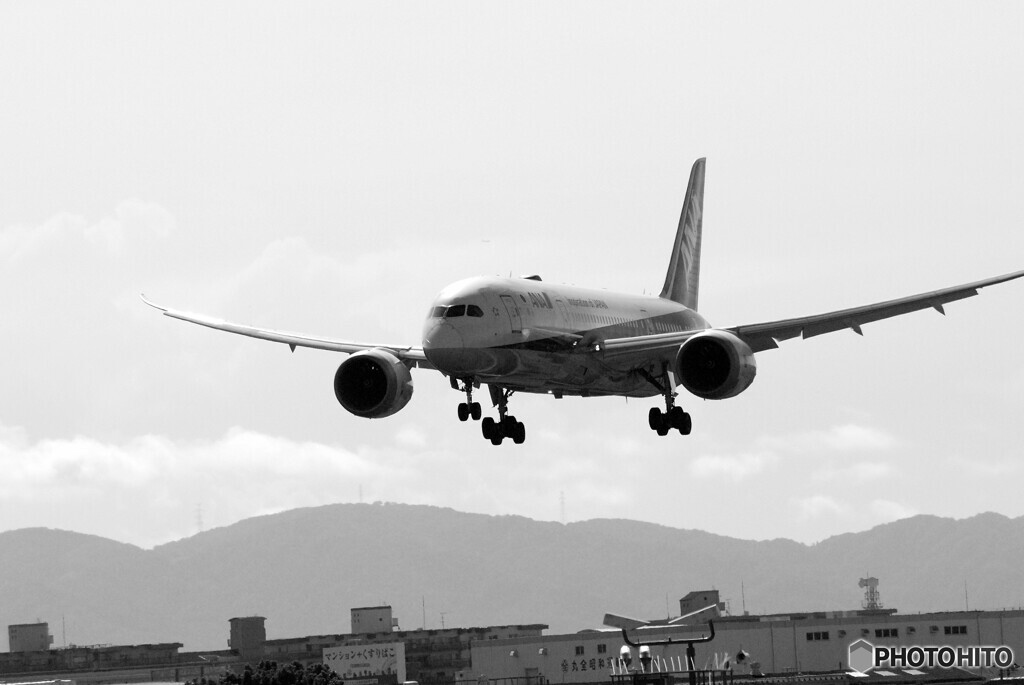 B/Wの世界からⅡ✈Boeing787-8