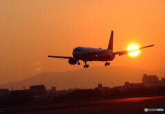 Japanese beautyⅥ✈Boeing 767